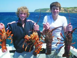 Jarron and Travis Cole show off their diving skills with a haul of respectable crayfish.